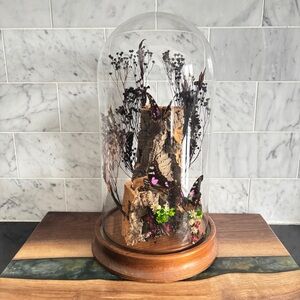 Vintage Real Taxidermy Butterfly Glass Dome Cloche: Diorama with Dried Florals